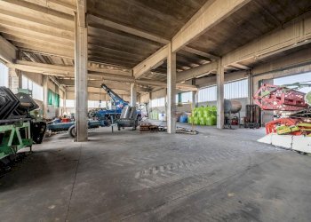 Capannone Via XXV Aprile, Gualtieri - foto 6