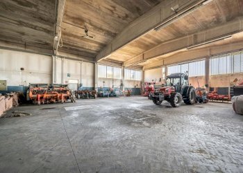 Capannone Via XXV Aprile, Gualtieri - foto 7