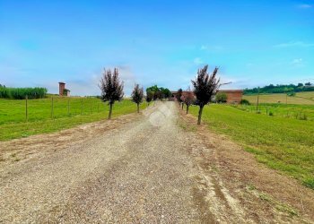 Casa semi indipendente Viale della Repubblica, Montiglio Monferrato - foto 17