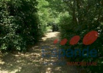 Casa indipendente Vergato - foto 8