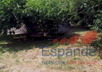 Casa indipendente Vergato - foto 9