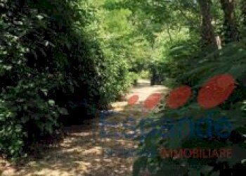 Casa indipendente Vergato - foto 10