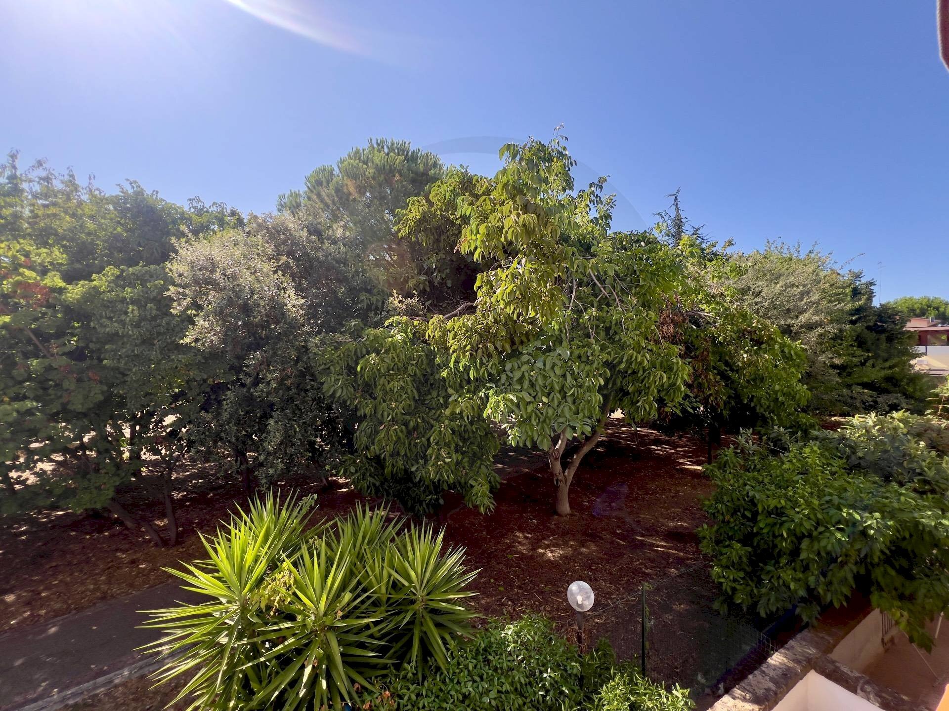 Foto 3 - Appartamento via spataro, Lanciano - foto 3