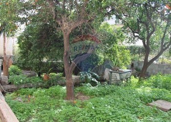 Giardino - Appartamento Via Antonio Merlino
 
65, Catania - foto 12