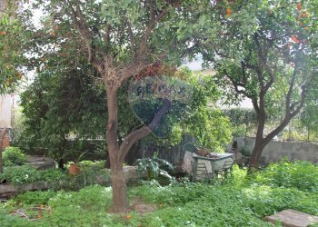 Giardino - Appartamento Via Antonio Merlino
 
65, Catania - foto 13