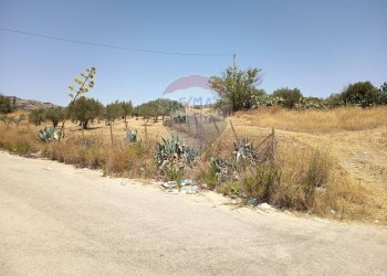 Vista delle montagne - Villa Contrada Balchino SS417
 
snc, Caltagirone - foto 12