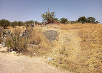 Vista delle montagne - Villa Contrada Balchino SS417
 
snc, Caltagirone - foto 11