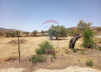 Giardino - Villa Contrada Balchino SS417
 
snc, Caltagirone - foto 22