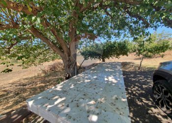 Vista dell\'acqua - Villa Contrada Balchino SS417
 
snc, Caltagirone - foto 33