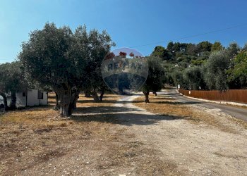 Giardino - Terreno edificabile Località Monte Giordano
 
snc, Vieste - foto 1