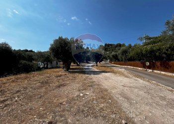 Giardino - Terreno edificabile Località Monte Giordano
 
snc, Vieste - foto 7