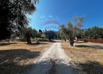 Giardino - Terreno edificabile Località Monte Giordano
 
snc, Vieste - foto 8