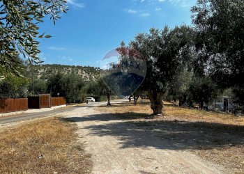 Giardino - Terreno edificabile Località Monte Giordano
 
snc, Vieste - foto 9