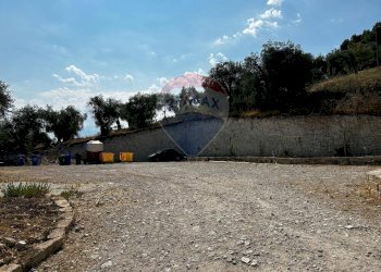 Giardino - Terreno edificabile Località Monte Giordano
 
snc, Vieste - foto 10