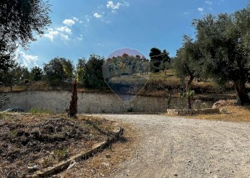 Giardino - Terreno edificabile Località Monte Giordano
 
snc, Vieste - foto 11