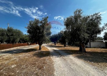 Giardino - Terreno edificabile Località Monte Giordano
 
snc, Vieste - foto 12