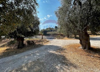 Giardino - Terreno edificabile Località Monte Giordano
 
snc, Vieste - foto 13