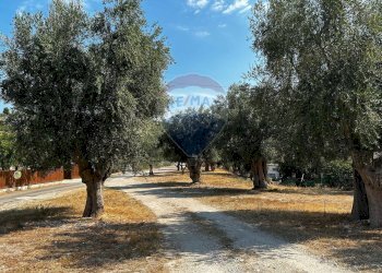 Giardino - Terreno edificabile Località Monte Giordano
 
snc, Vieste - foto 14