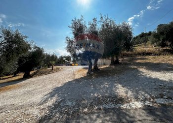 Giardino - Terreno edificabile Località Monte Giordano
 
snc, Vieste - foto 15