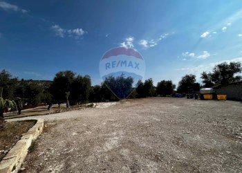 Non correlato - Terreno edificabile Località Monte Giordano
 
snc, Vieste - foto 19