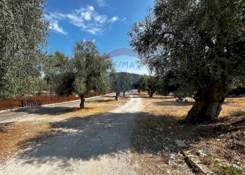 Giardino - Terreno edificabile Località Monte Giordano
 
snc, Vieste - foto 23