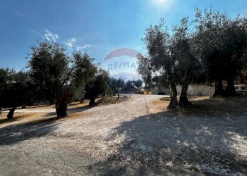 Giardino - Terreno edificabile Località Monte Giordano
 
snc, Vieste - foto 24