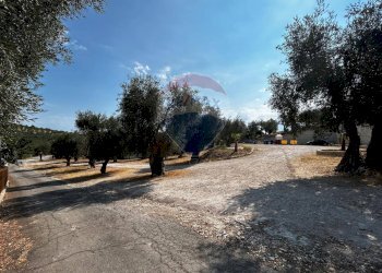 Giardino - Terreno edificabile Località Monte Giordano
 
snc, Vieste - foto 25