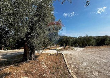 Giardino - Terreno edificabile Località Monte Giordano
 
snc, Vieste - foto 27