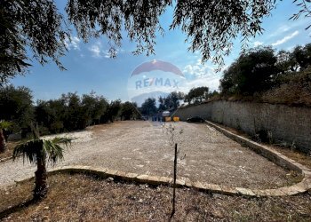 Non correlato - Terreno edificabile Località Monte Giordano
 
snc, Vieste - foto 29
