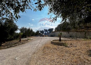 Giardino - Terreno edificabile Località Monte Giordano
 
snc, Vieste - foto 30