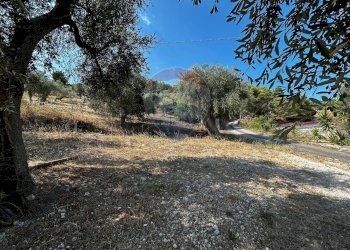 Giardino - Terreno edificabile Località Monte Giordano
 
snc, Vieste - foto 31