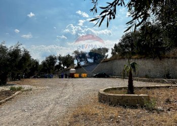 Giardino - Terreno edificabile Località Monte Giordano
 
snc, Vieste - foto 33