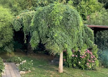 Foto 27 - Casa semi indipendente Strada Valle san Pietro, Pecetto Torinese - foto 27