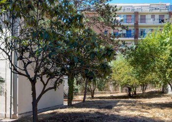 Foto 27 - Ufficio Viale Matteotti, Imperia - foto 27