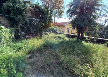 Giardino - Trilocale Somma Lombardo - foto 4