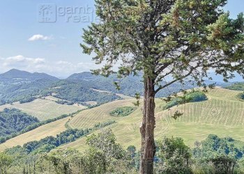 Foto 21 - Rustico Urbino - foto 21