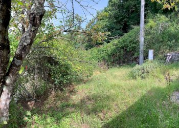 Foto 7 - Casa semi indipendente CASE SPARSE BANZENA
 
57, Bibbiena - foto 7