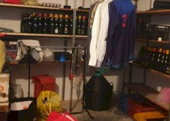 Cantina - Three-room apartment via Ugo da Carpi, Carpi - photo 18