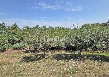 Terreno - Villa via Piemonte, Conzano - foto 36