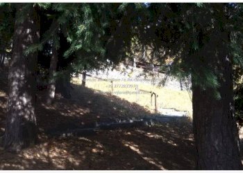 Terreno - Villa via Passeggiata dei Vecchi, Craveggia - foto 33