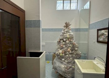 Lavanderia - Shop via Torino, 42, Biella - photo 17