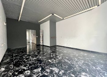 Commercial Premises Pino Torinese - photo 4