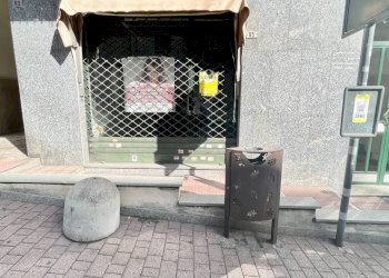 Commercial Premises Pino Torinese - photo 5