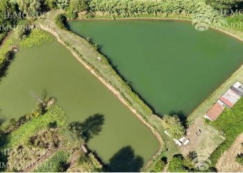 Terreno edificabile Località Albanetta, Palombara Sabina - foto 1