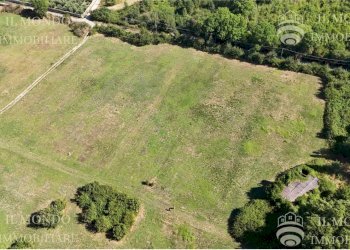 Terreno edificabile Località Albanetta, Palombara Sabina - foto 7