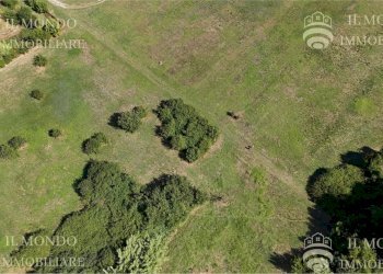 Terreno edificabile Località Albanetta, Palombara Sabina - foto 9