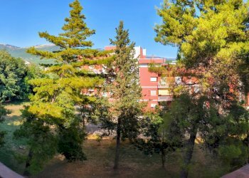 Apartment Viale Gabriele Veneziale, 103, Isernia - photo 21