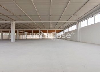 Shed Porcari - photo 6