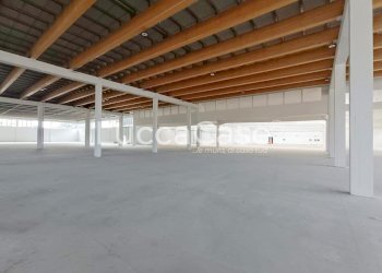 Shed Porcari - photo 10