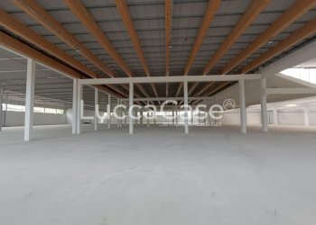 Shed Porcari - photo 14